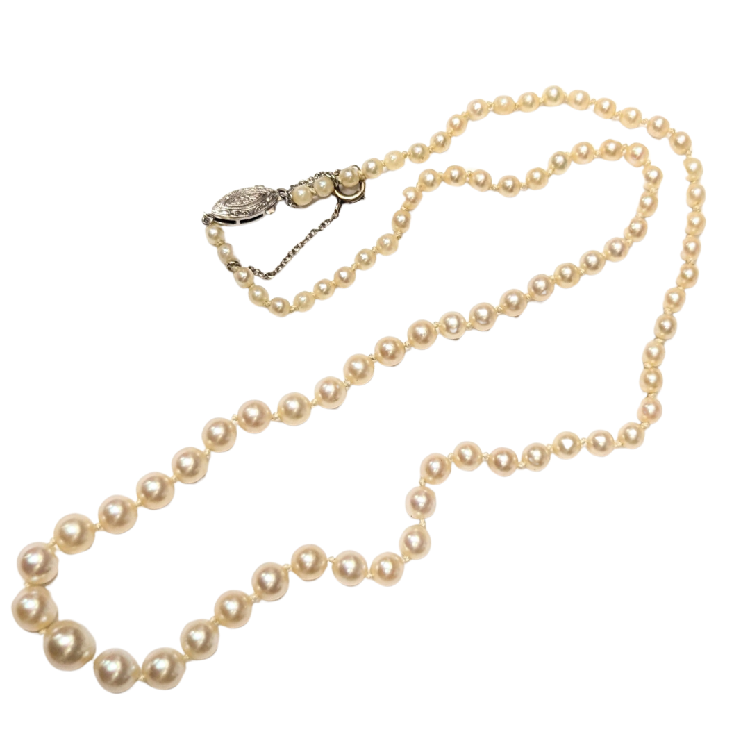 Graduated Strand of Akoya Pearls with 14k White Gold Findings-Necklace-Antique, Estate & Consignment-hurdles-jewelry-boulder-colorado